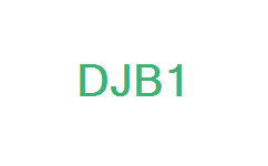 �未�式精��^�V器DJB-I型-大野�C械