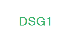 DSG-I��A型��R